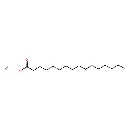 Ak Scientific Potassium palmitate (1g), CAS 2624-31-9 6364AF-1g
