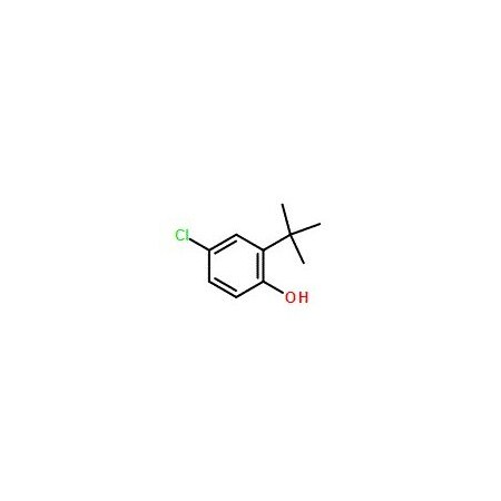 Ak Scientific 2-(tert-Butyl)-4-chlorophenol (250mg), CAS 13395-85-2 Z4099-250mg