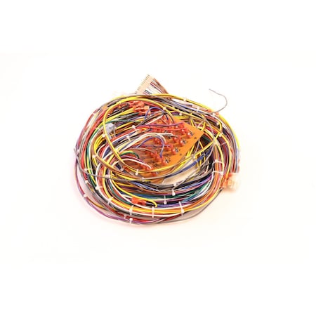 Teledyne Laars WIRING HARNESS E2307501