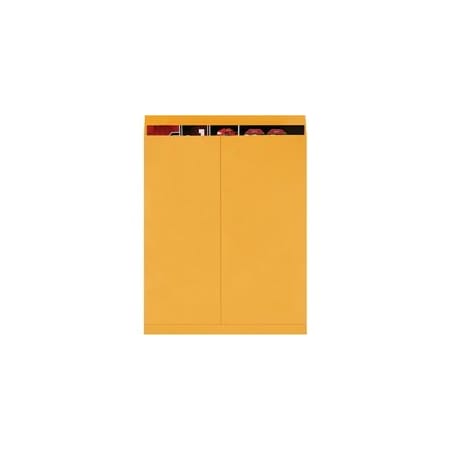 Bubblefast 100-22 x 27'' Kraft Jumbo Envelopes, 100PK BFEN1086