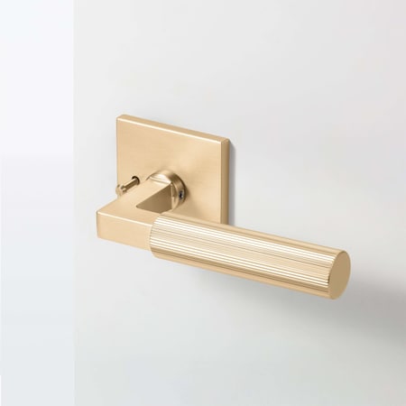Mcbowery Mila Champagne Gold Modern Linear Bed/Bath Door Handle - Square Rosette (Privacy) 211PVGD