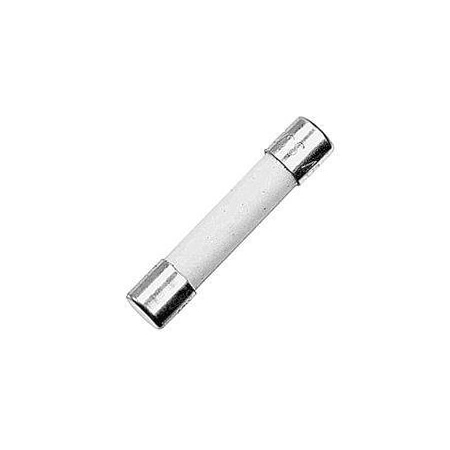 Yale REPLACEMENT FUSE, 10 AMP 580079892