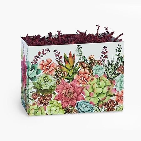 Nashville Wraps Succulent Garden Basket Boxes, Large, 10.25x6x7.5, 6PK SGL