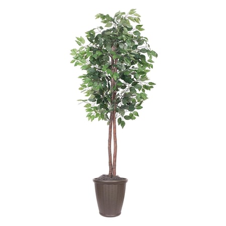 Vickerman 6 ft. Artificial Ficus Tree in Round Brown Container, Dark Green TEC0160-RB