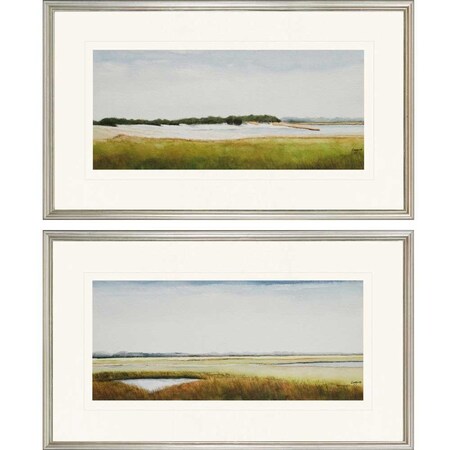 Homeroots Set Of Two Marshlands II Framed Silver Framed Print Wall Art, 2PK 416306