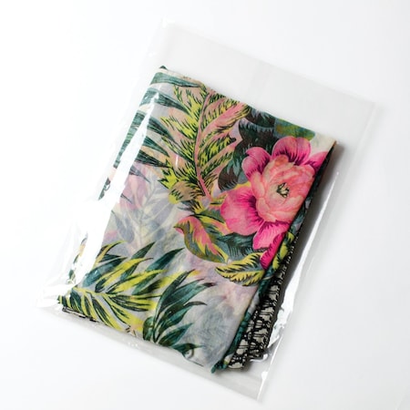 Elevate Packaging 9 x 12 in. Compostable Flat Cellophane Bags, 100PK GC9120