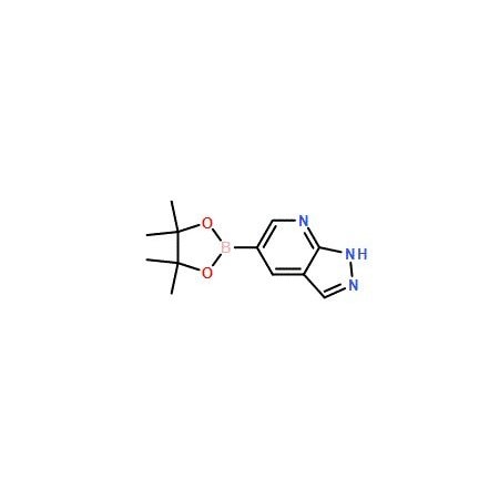 Ak Scientific 1H-Pyrazolo[3, 4-b]pyridine-5-boronic acid pinacol ester (25g), CAS 1093819-50-1 Y7023-25g
