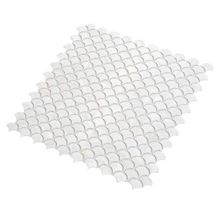 Apollo Tile Chiffon White 11.8 in x 11.8 in Shell Polished Wall Mosaic Tile 19.34 sqft/case, 20PK APLSMA88016A