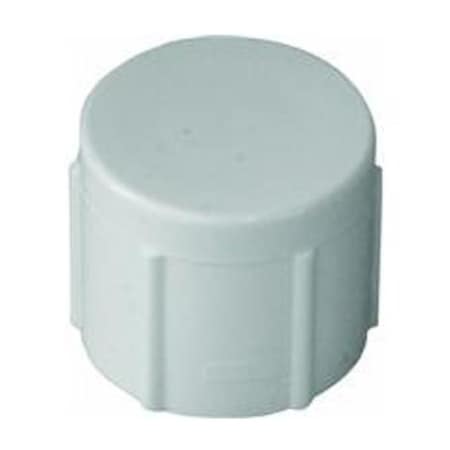 Charlotte Pipe And Foundry PVC 021171200HA 1 IN FIP CAP ) PVC 02117  1200HA