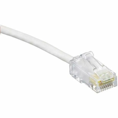 Leviton PCORD 1G HF HD6 10' WH 6H460-10W