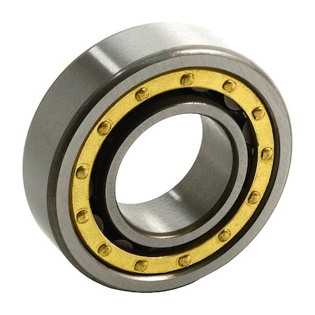 Tritan Single Row Cylindrical Roller Bearings 2101077071