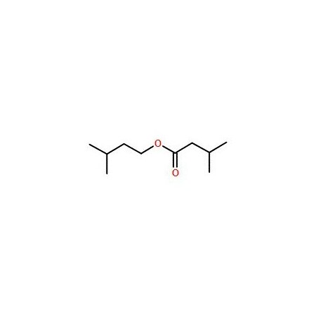 Ak Scientific Isopentyl isopentanoate (25g), CAS 659-70-1 S166-25g