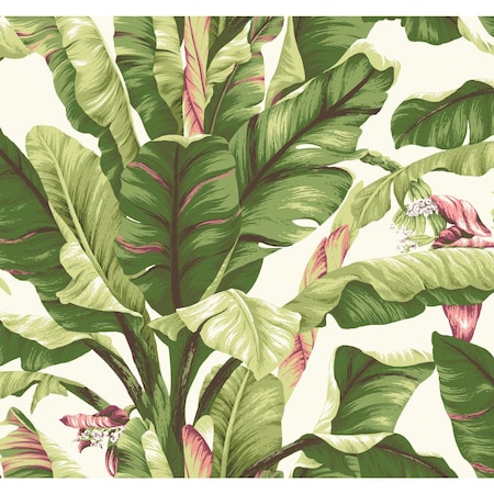 York Wallcoverings Banana Leaf Dark Brown and Pink Wallpaper AT7067