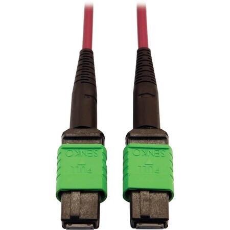 Eaton Tripp Lite Series 400G Multimode 50/125 OM4 Plenum-Rated Fiber Optic Cable, 16F N846D-05M-16AMG