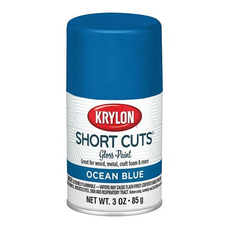 Krylon Spray Paints - Craft & Hobby Spray Paint KSCS034
