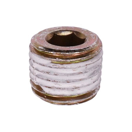 Auveco 1/4in Japanese Pipe Plug, 10PK 24288