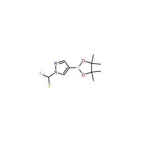Ak Scientific 1-(Difluoromethyl)-4-(4, 4, 5, 5-tetramethyl-1, 3, 2-dioxaborolan-2-yl)-1H-pyrazole (5g), CAS 1206640-82 Z3972-5g