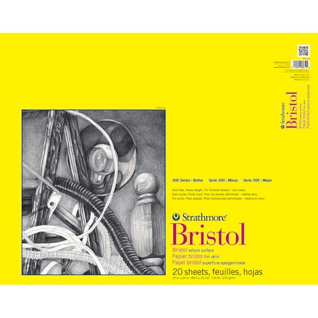 Strathmore 300 Series Bristol Pad, Vellum Finish, Tape Binding, 20 Sheet, 19x24 inch P342-119-1