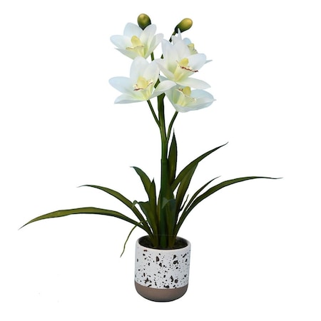 Dare2Decor 19 in. White Cymbidium in Pot Real Touch Petals DA3246075