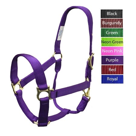 Fanciercriador QS Halter, Purple - 800-1100 lbs - Medium FA3547627