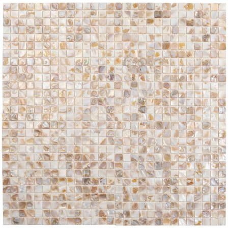 Apollo Tile Beige 12 in x 12 in Shell, Mother of Pearl Polished Floor and Wall Mosaic Tile 20 sqft/case, 20PK APLSMA88003A