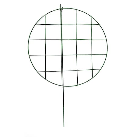 Glamos Wire 24 in. H Green Metal Plant Support 682416