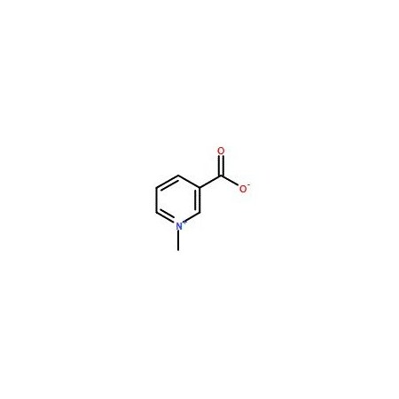 Ak Scientific Trigonelline (5mg), CAS 535-83-1 V1545-5mg