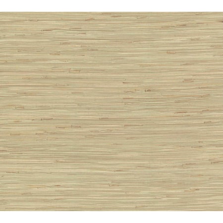 York Wallcoverings River Grass Green Wallpaper NZ0780