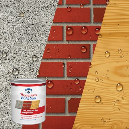 Thompsons Waterseal Clear VOC MultiSurface Waterproofing Sealer 1 Qt. TH.024104-14