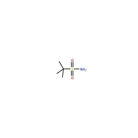 Ak Scientific tert-Butylsulfonamide (5g), CAS 34813-49-5 X3108-5g