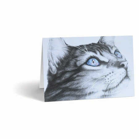 Jorgensen Laboratories Sympathy Cards, Feline Galaxy, 10PK J1483