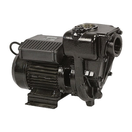 Piusi Electric Drum Pump, 220 V AC, 30 gpm F00321010