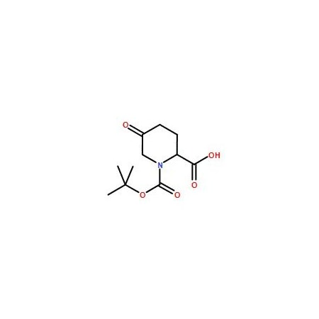 Ak Scientific Boc-DL-5-Oxo-Pro-OH (250mg), CAS 160401-16-1 9551AH-250mg