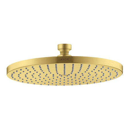 Axor Starck Showerhead 240 1-Jet, 2.5 GPM in Brushed Gold Optic 28494251