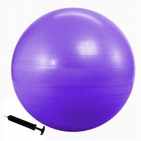 Everrich Industries Balance Ball - 30 in. EVC-0242