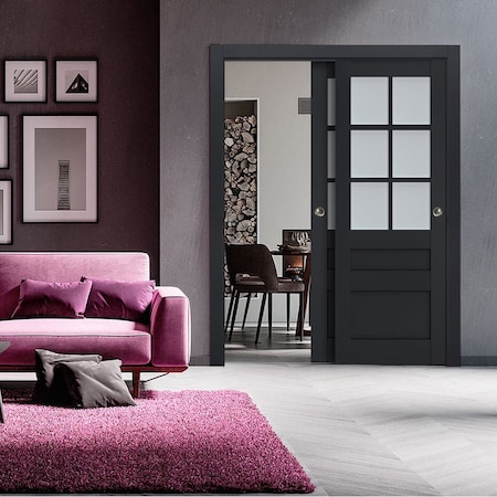 Sartodoors Sliding Closet Bypass Doors with Frosted Glass 48x84 (2* 24x84) Solid Core Modern Interior VEREGIO7339DBD-ANT-4884