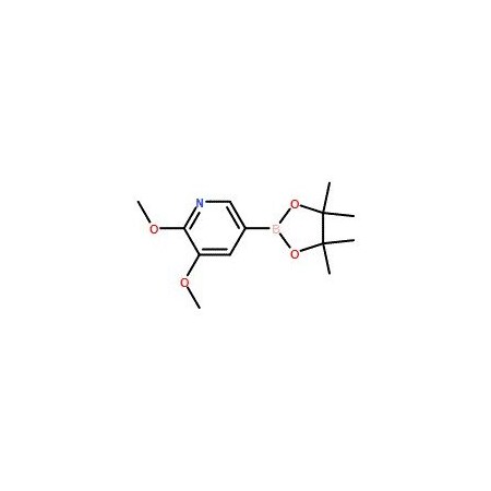 Ak Scientific 2, 3-Dimethoxypyridine-5-boronic acid pinacol ester (1g), CAS 1083168-92-6 X1613-1g