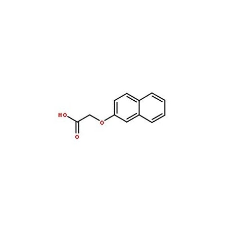 Ak Scientific 2-Naphthoxyacetic acid (100g), CAS 120-23-0 D594-100g