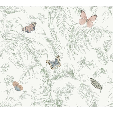 York Wallcoverings Papillon Blush Wallpaper RT7930