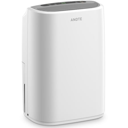 Edendirect 31 pt. 2500 sq. ft. Dehumidifier with 0.53 Gal Bucket, Auto Defrost, and Sleep Mode, in White ZRPD161A