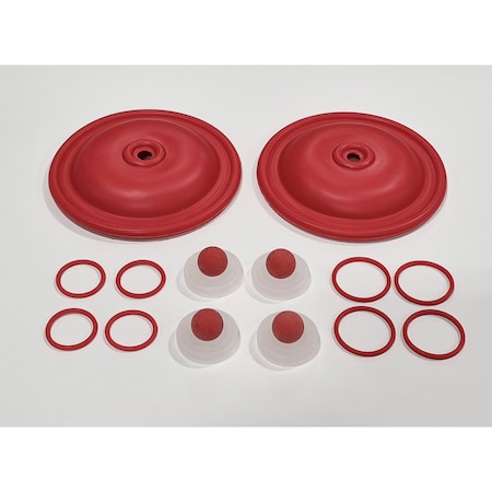 Finish Thompson Wet-End Repair Kit for 2", Pump Model FT FW20P-RRPR