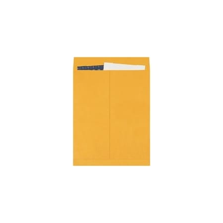 Bubblefast 100-16 x 20'' Kraft Jumbo Envelopes, 100PK BFEN1083