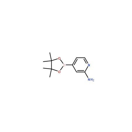 Ak Scientific 2-Aminopyridine-4-boronic acid pinacol ester (10g), CAS 1195995-72-2 Z8101-10g