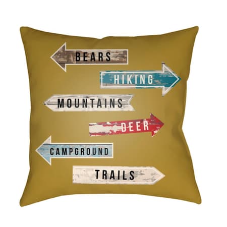 Artistic Weavers Lodge Cabin Compass Poly Filled Pillow - 22 x 22 in. LGCB2068-2222