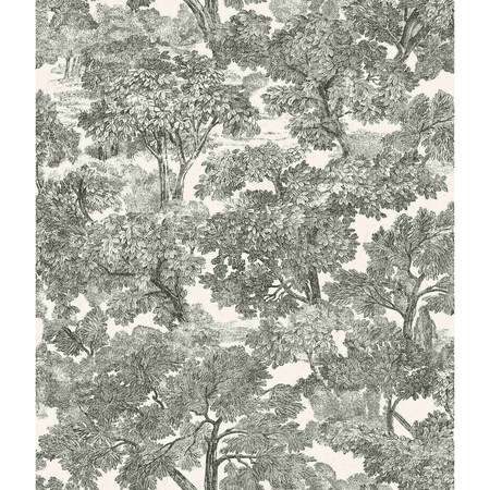 Chesapeake Spinney Black Toile Wallpaper 4134-72558