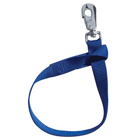 Daretocare 35-7065-BL 1 x 22 in. Blue Bucket Strap DA2670869