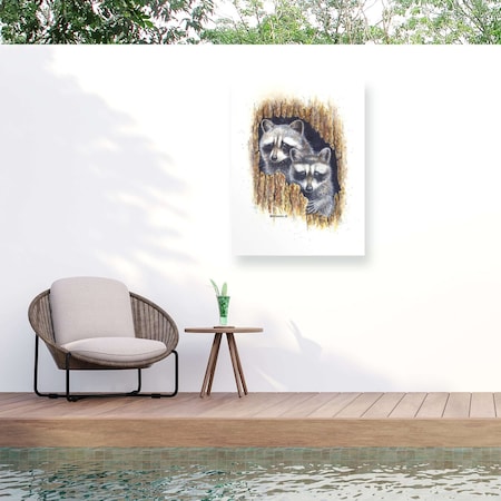 Trademark Fine Art Outdoor Canvas Art Dave Bartholet Banditos Wall Art for Patios, or Gardens GRL01461-OC2432WR