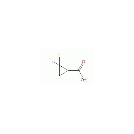 Ak Scientific 2, 2-Difluorocyclopropanecarboxylic acid (1g), CAS 107873-03-0 1603AA-1g