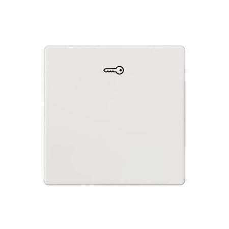 Siemens DELTA i-system titanium white Rocker switch with door opener symbol 5TG6208