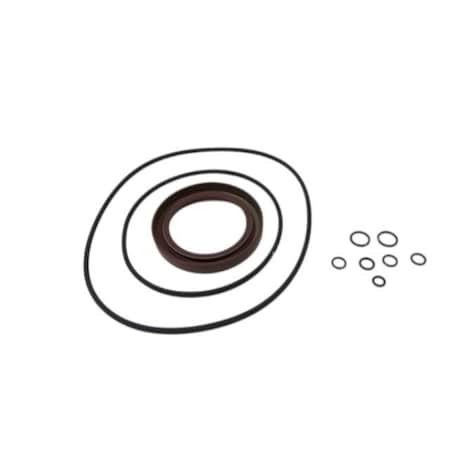 Agco SEAL KIT, AGCO OEM 544380D1 544380D1